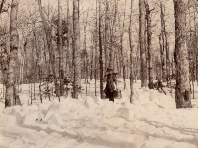 Mapleton,Albert County April,1923. From Bill Goggin Collection