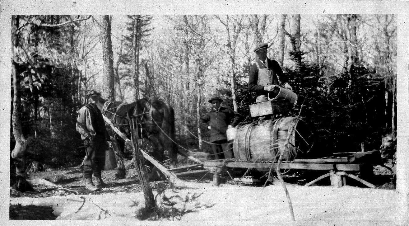 Albert County 175 Photo A Day 2020 March 4, 2020 — Albert County