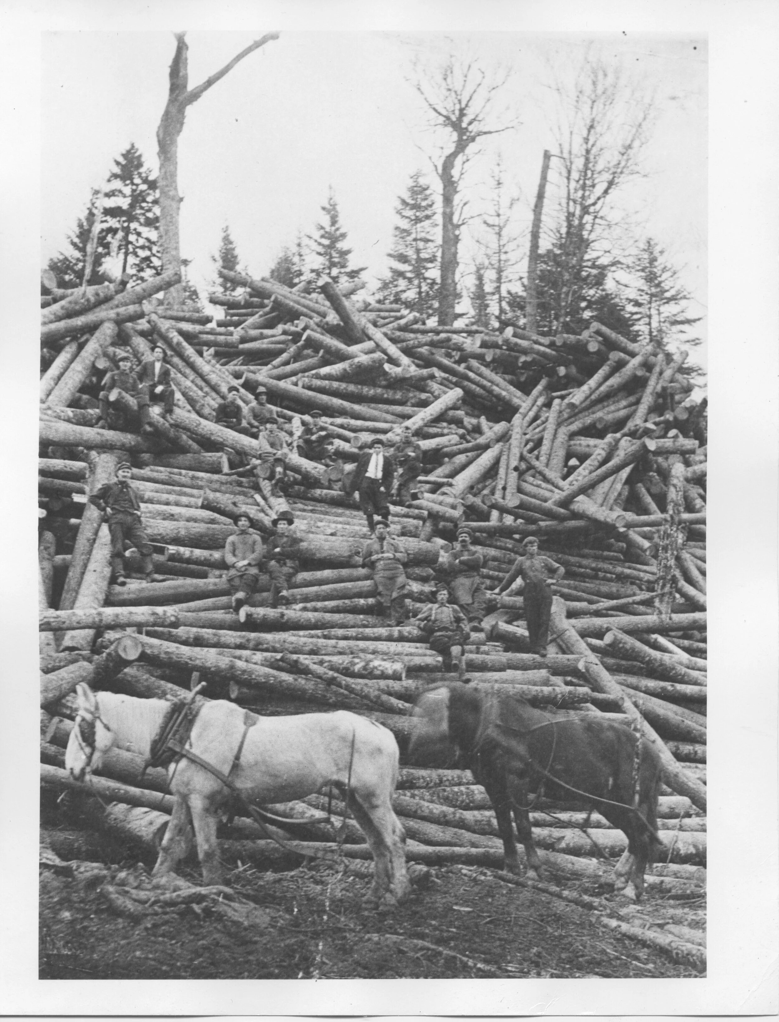 Jam of logs above Alma mill from Dawne MClean Collection