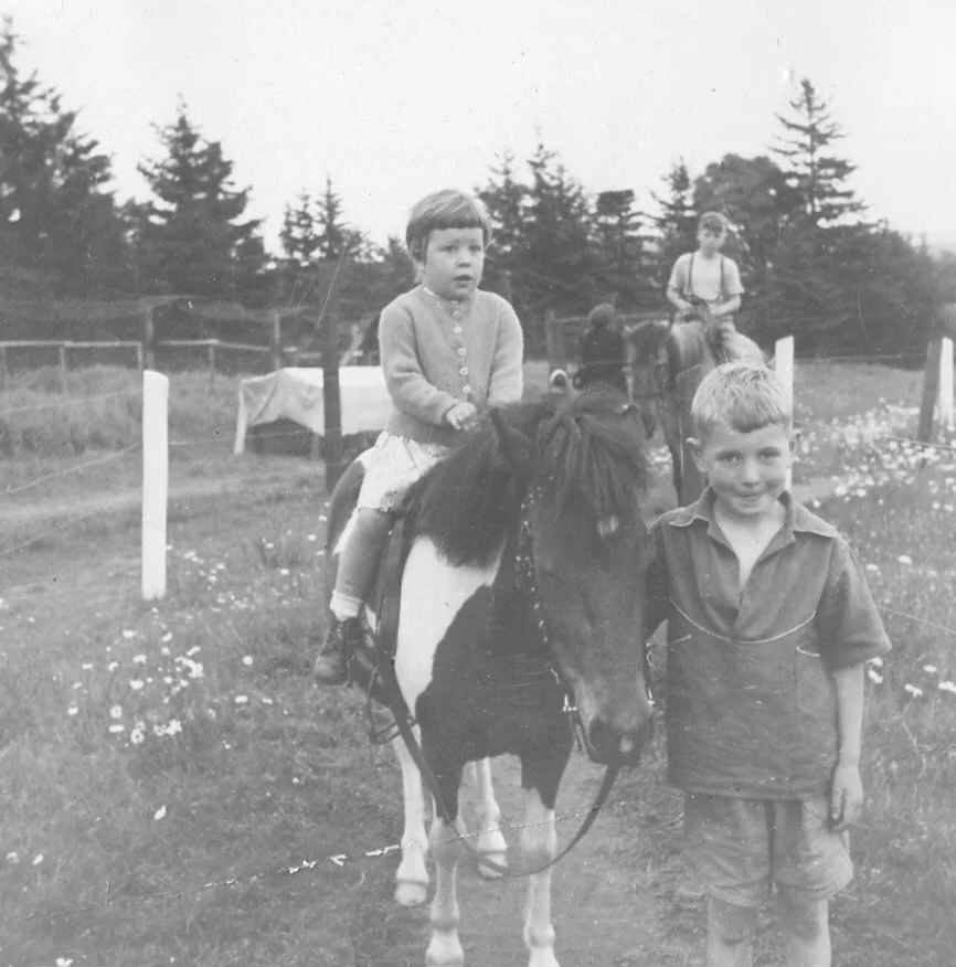 Little Sharman Arslanian at Randall's Farm Hopewell Cape in 1951. Pony Rides, puppy farm, monkey, and apparently even a zebra. Photos from the Stephen Oatway Collection