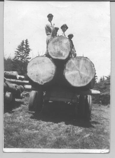 Logs cut in Hebron by William Hoar in 1942 from the Dawne McLean Collection.