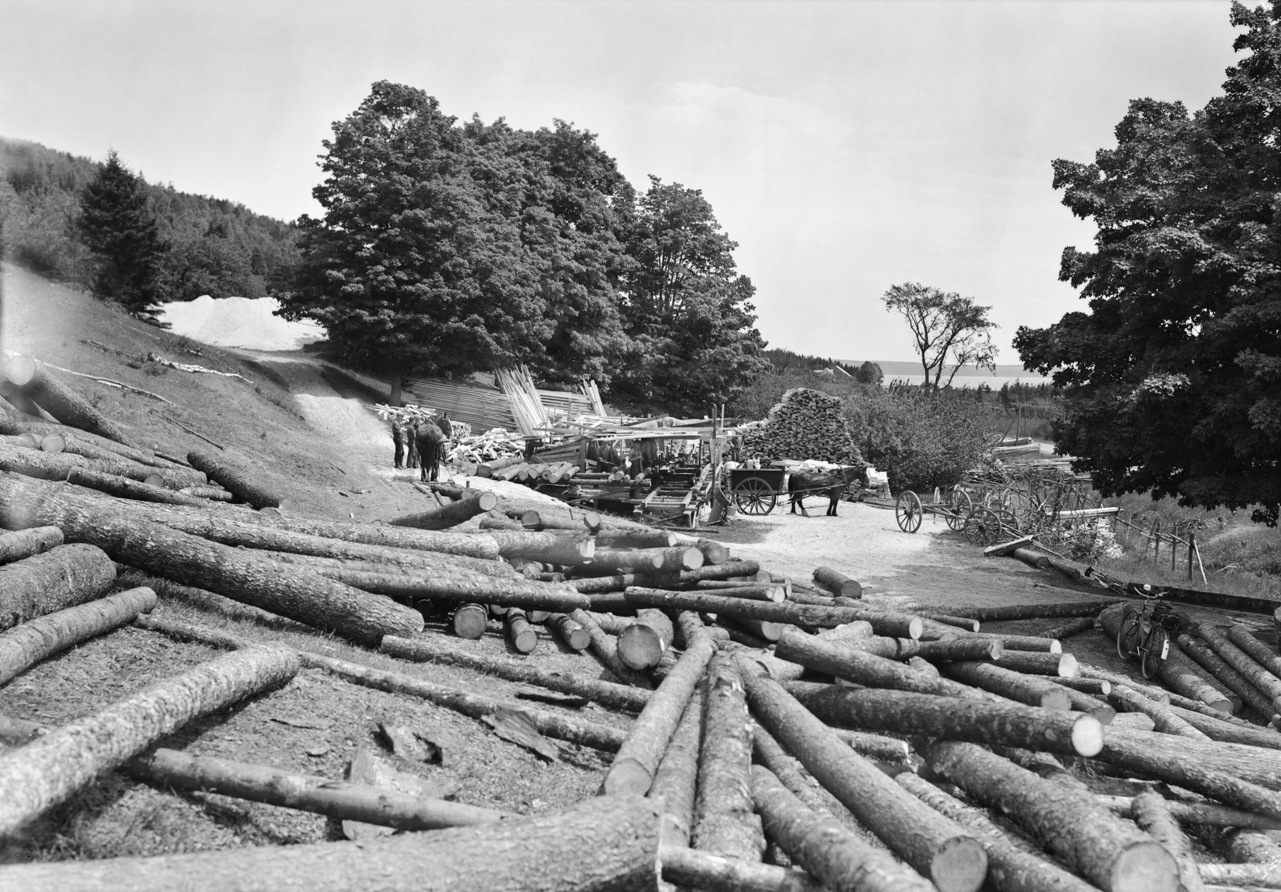 Logs spread all over hillside in foreground, horses and wagons along with temporarysaw mill activity in background, Hopewell, ca. 1940. From New Brunswick Provincial Archives P93-AL-28