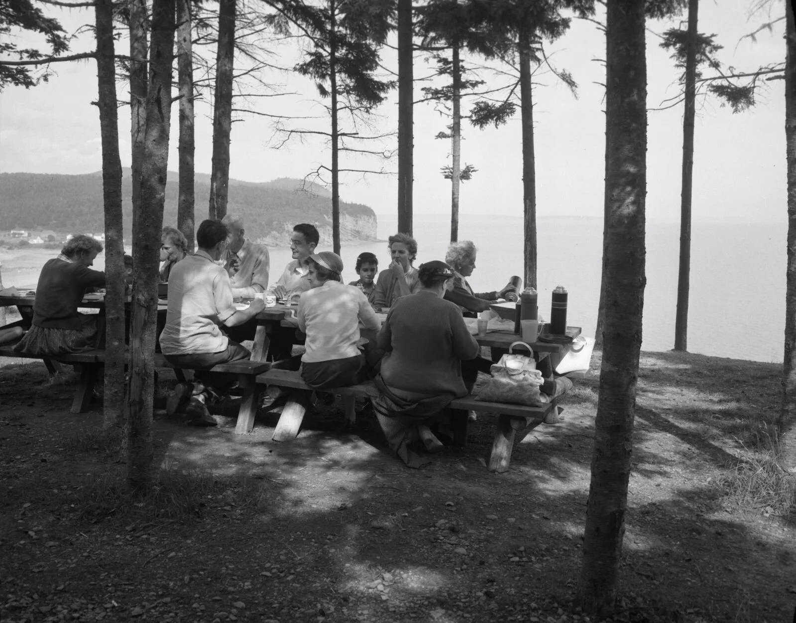 Family having a picnic at Fundy National Park, c.1950.. Photo from Archives New Brunswick -P93-AL-212