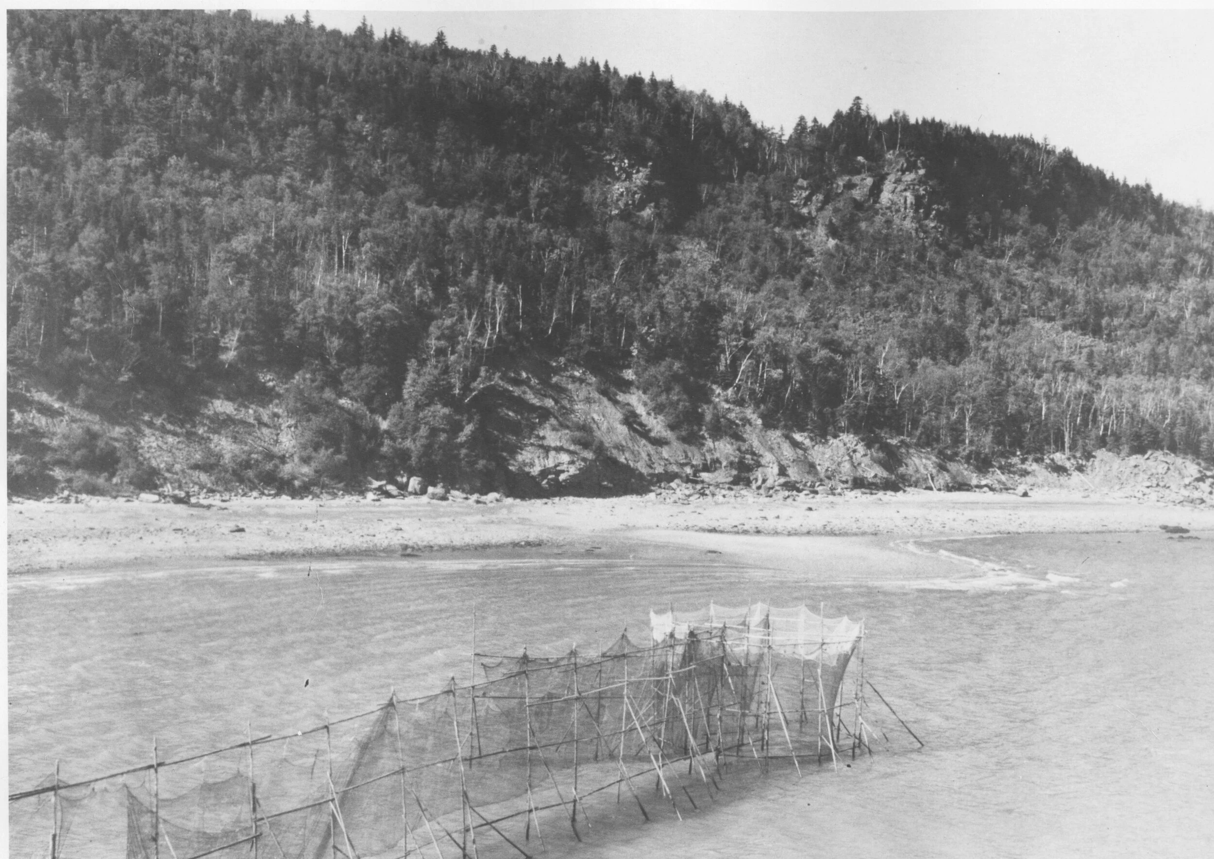 Claude Bishop's fish weir at Herring Cove Photo from the Dawne McLean Collection