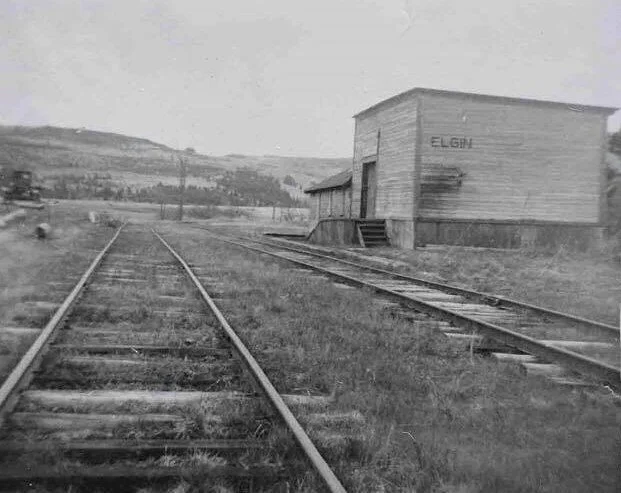 Looking south to station, mile 13.8, Elgin Subdvision. From the Bill Goggin Collection sourced from Railway Museum and Virtual Museum.