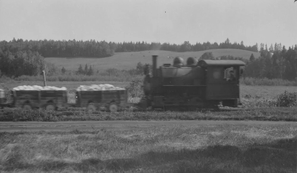Hauling gypsum from mine to mill, Hillsborough, N.B.. From Library and Archives Canada 1936-271 NPC