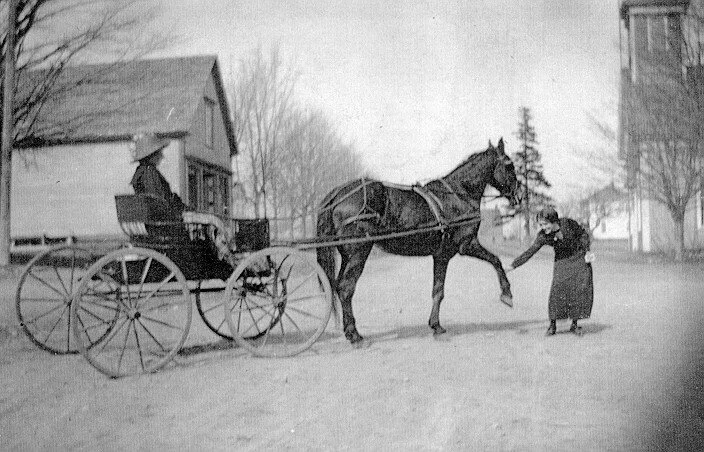 Horse &amp; Buggy Riverside. From the Dawne McLean Collection