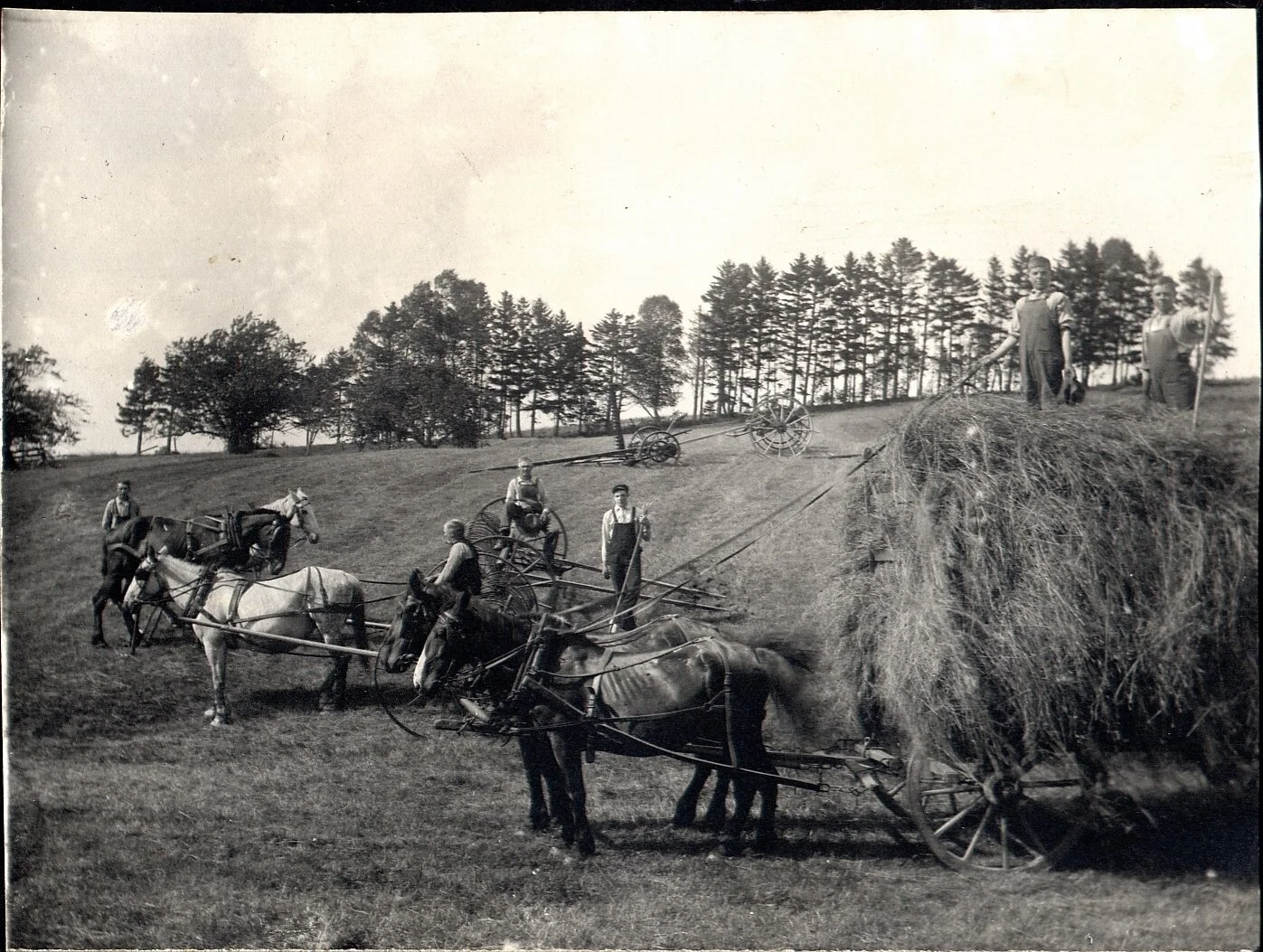 Haying on the William West farm about 1908. From the Bill White Collection.