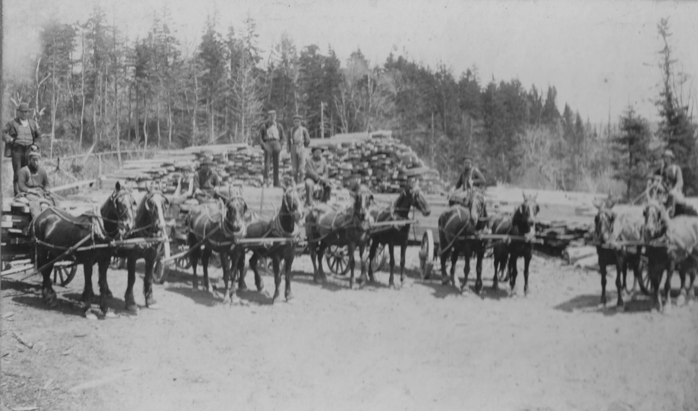 Firewood for the Canadian Gypsum Company Factory. From the Albert County Museum collection 979.25