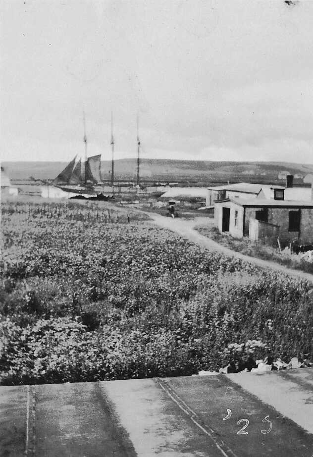 Shipping on the Shepody R. 1925 From the Albert County Museum Collection 982.10.