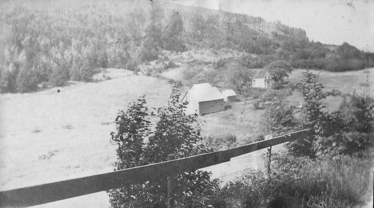 Herring Cove Road  From the Albert County Museum Collection 976.88