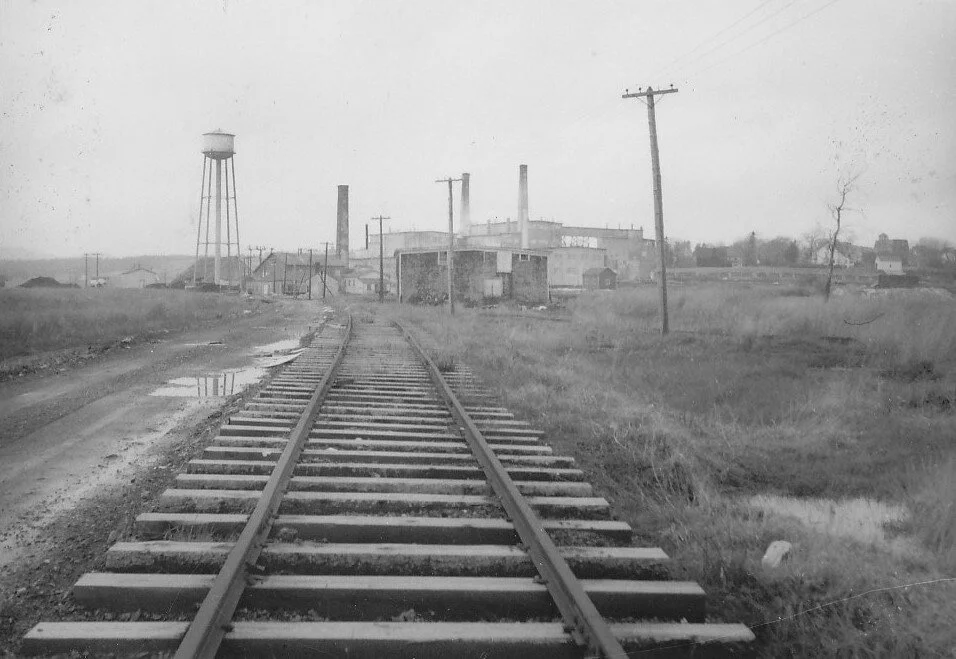 The Canadian Gypsum Company  circa 1924from the Albert County Museum Collection 2009.8.15