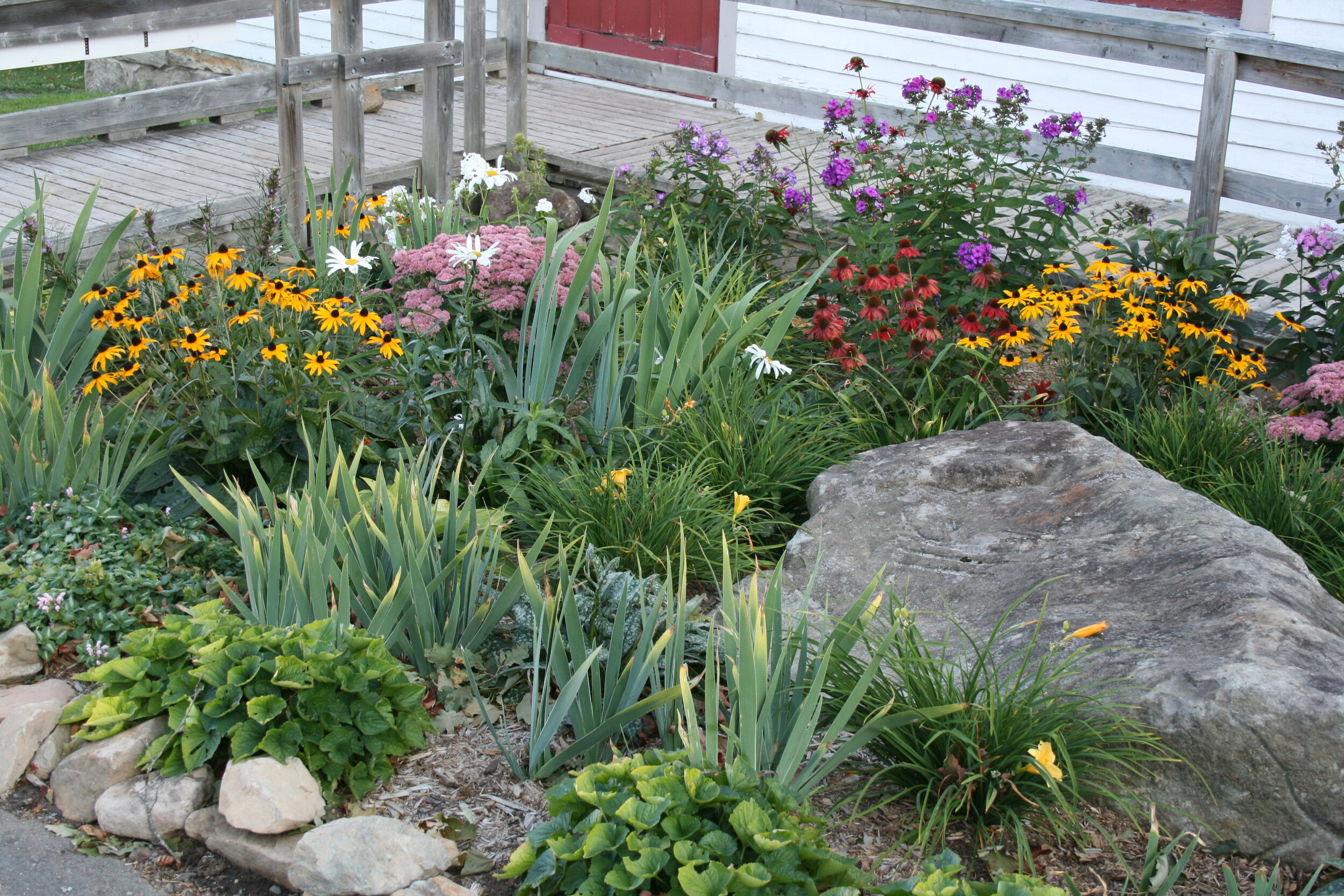 Beautiful Flower Garden Enjoyed!