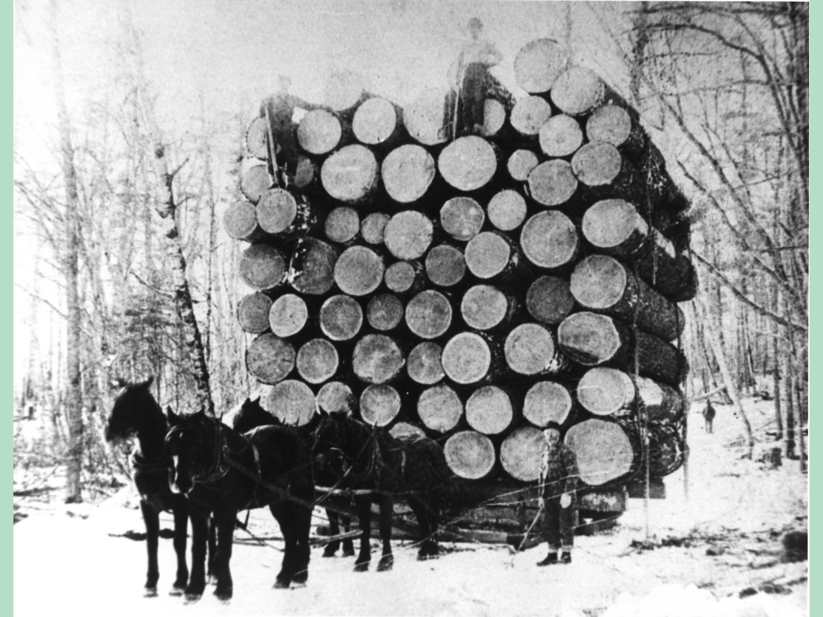 1930 Logging . From the Dawne McLean Collection