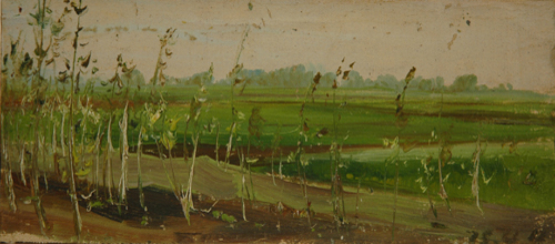 Country Scene #4