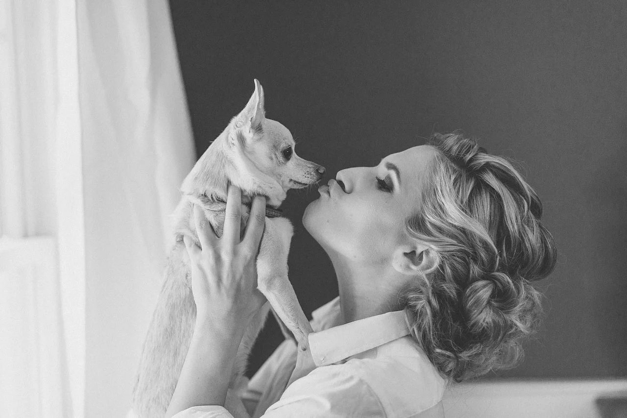 Bride Kiss Puppy