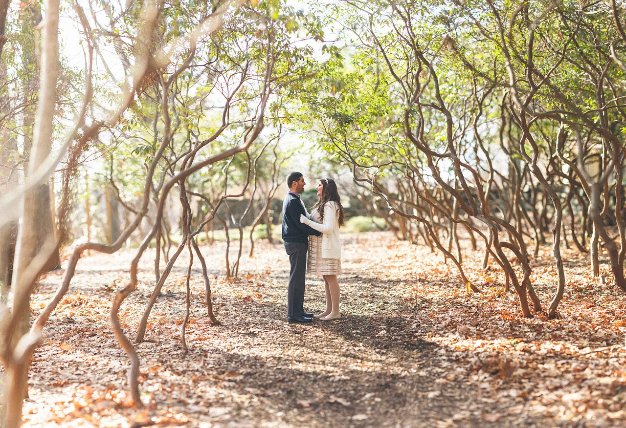 Wedding Trees Morristown NJ