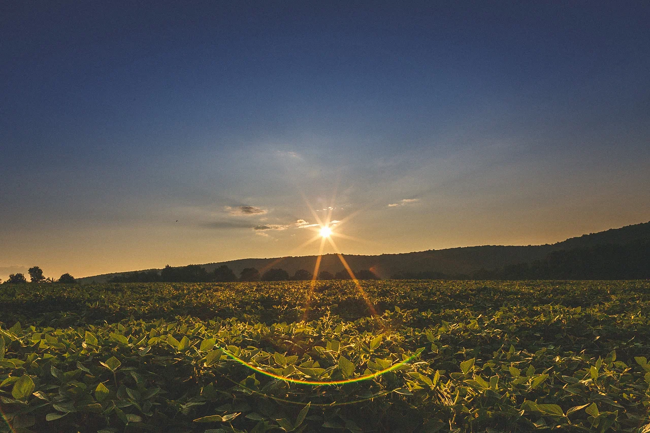 Long Valley NJ Landscape