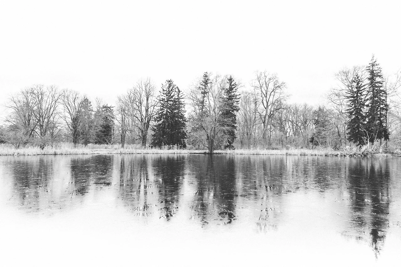 Duke Farms Winterscape