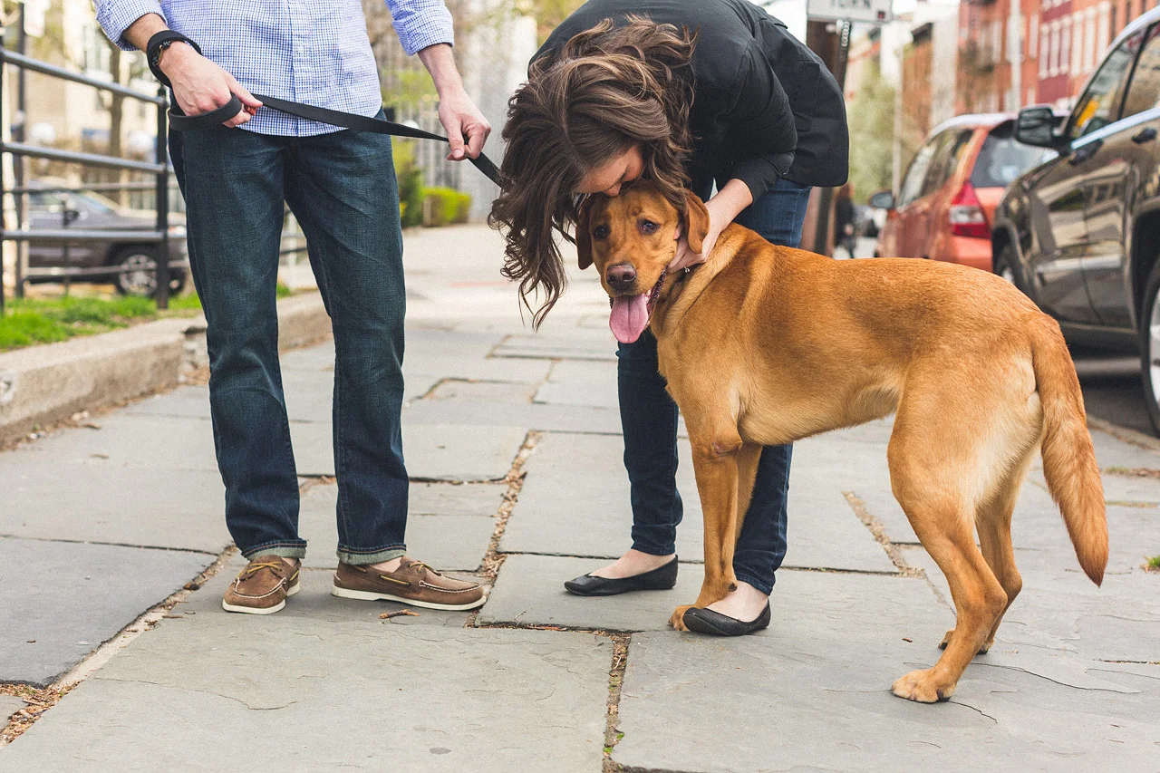 Fur Child Engagement Session