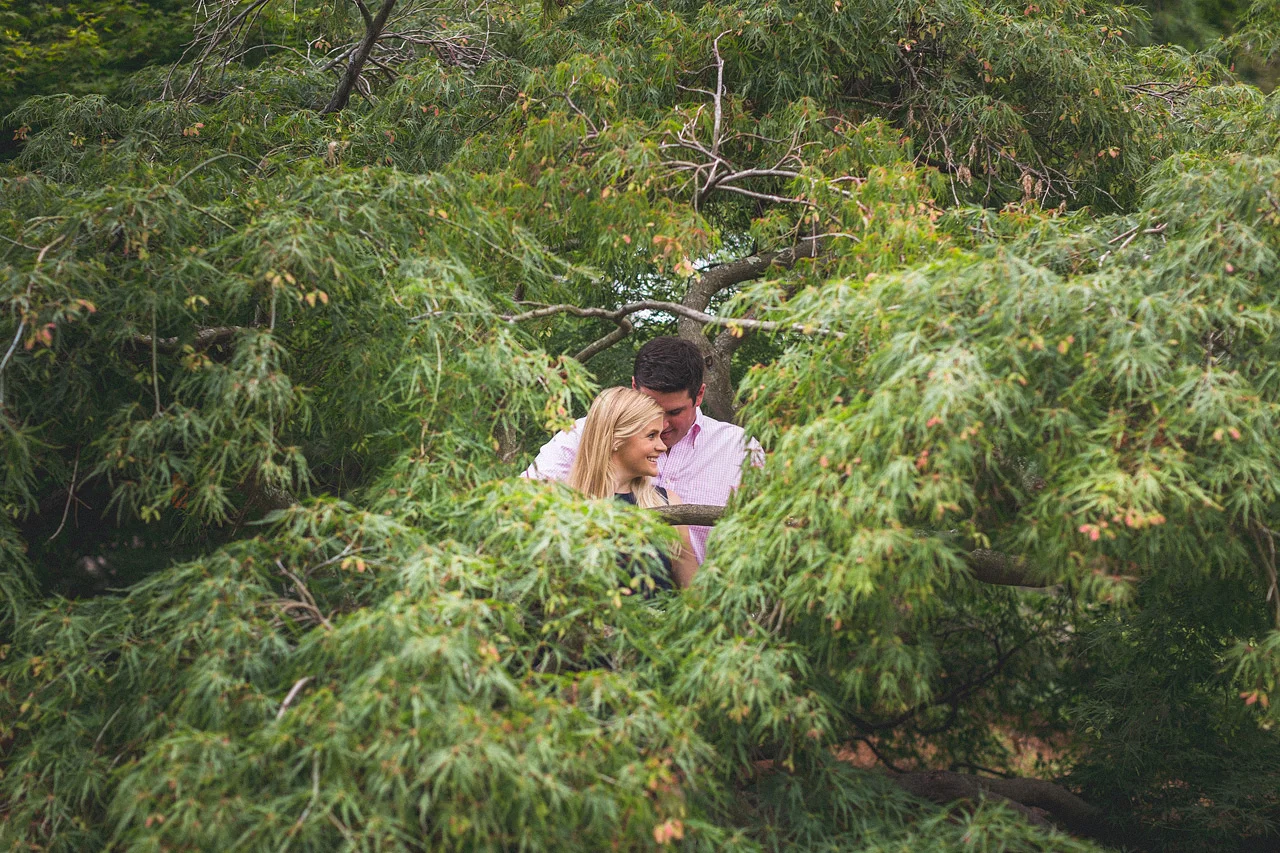 Frelinghuysen Arboretum Engagement