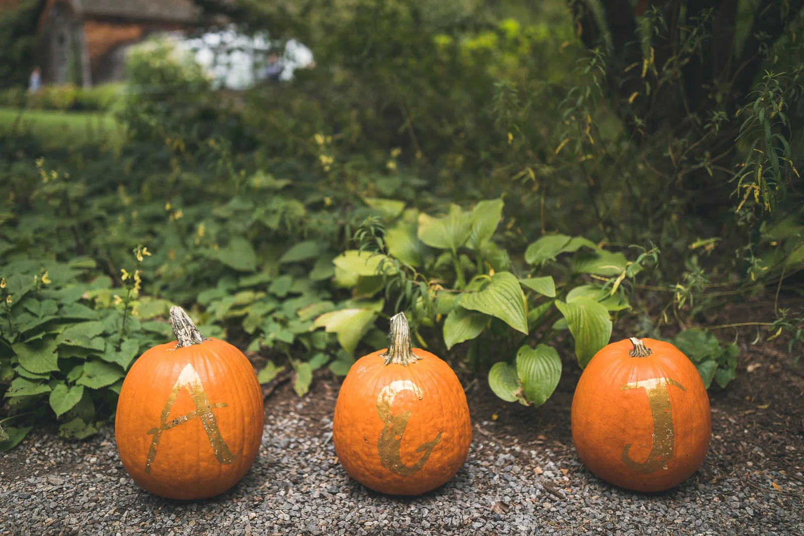 Pumpkin Wedding Details