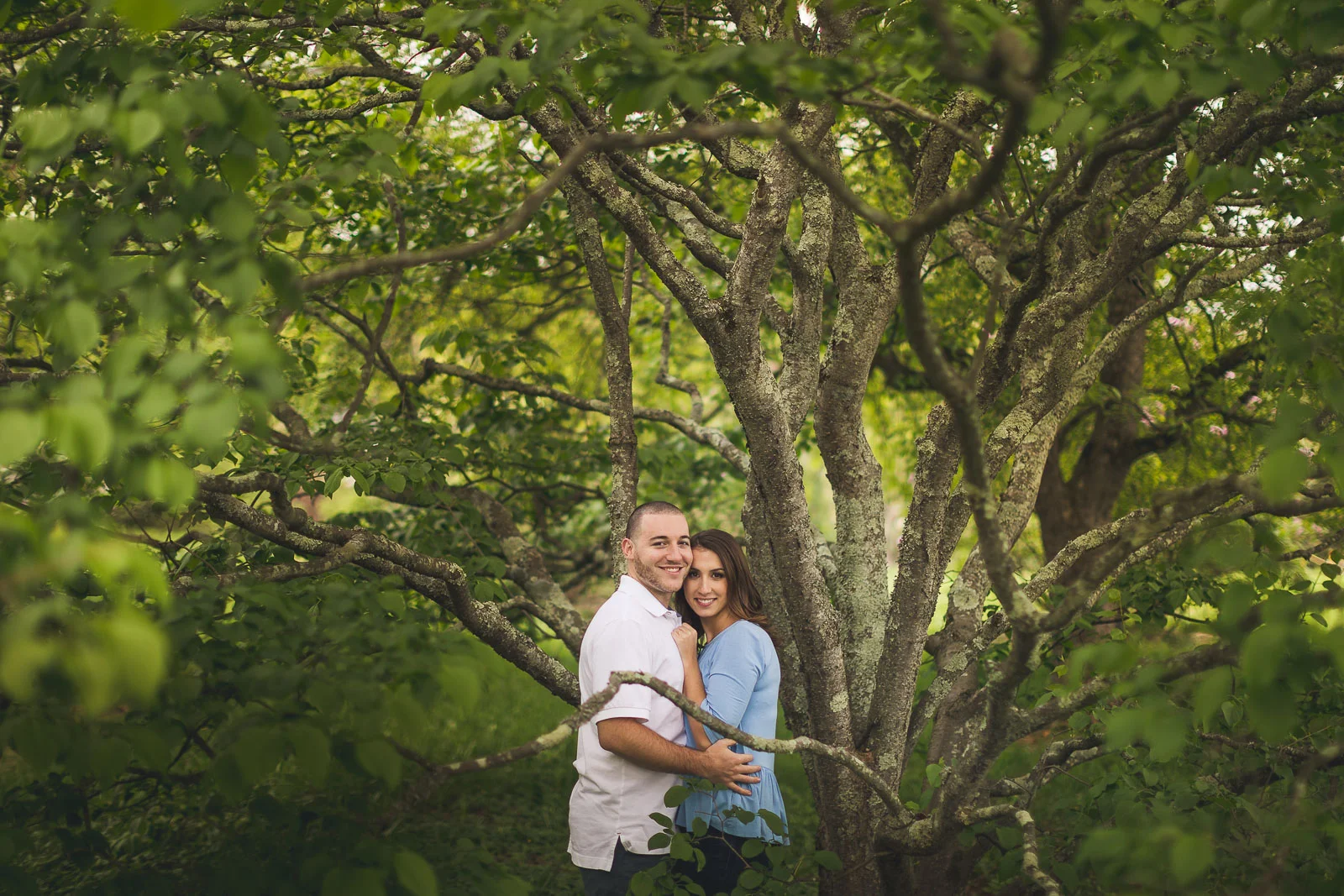 Cuddling in the trees