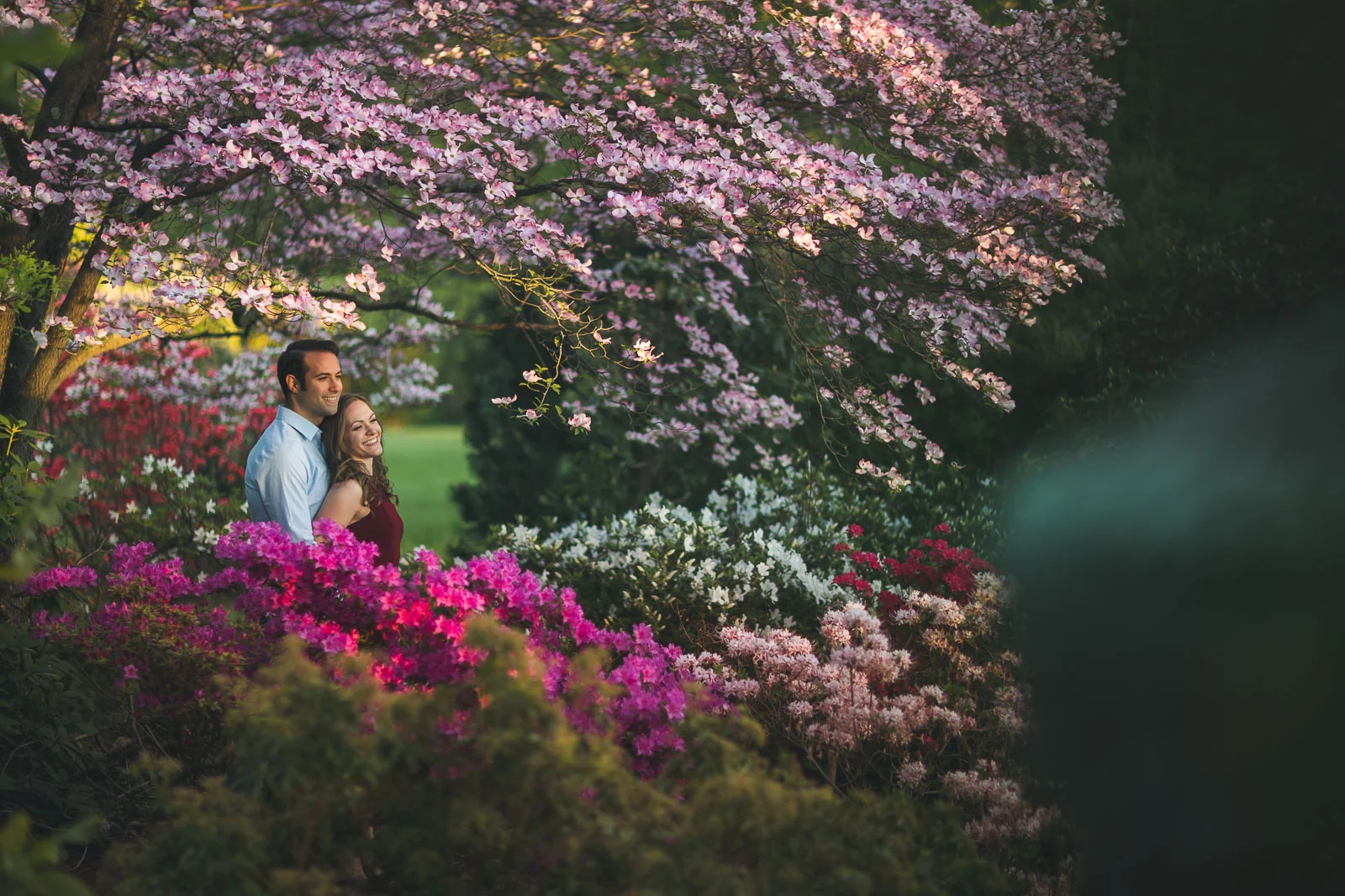 Garden Sunset Engagement Photo
