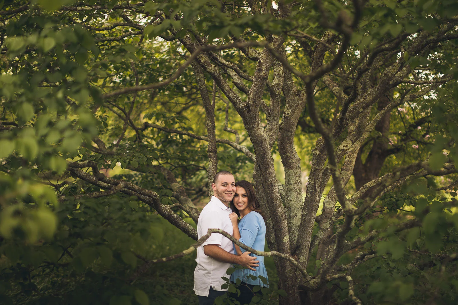 Willowwood Arboretum Portraits