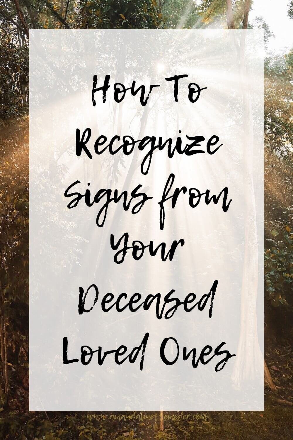 How to connect with my loved one. Photo of green tree stand with golden light shining through during the daytime by Frances To on Unsplash with text overlay - How To Recognize Signs From Your Deceased Loved Ones