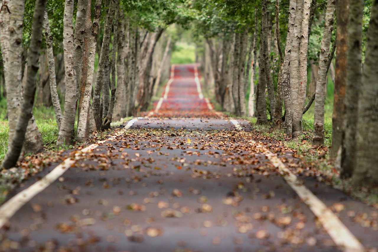 Your Critics can be Wayfinders that help you reassert your soul path. Read this post how to take words of insult, as words of wisdom instead - 