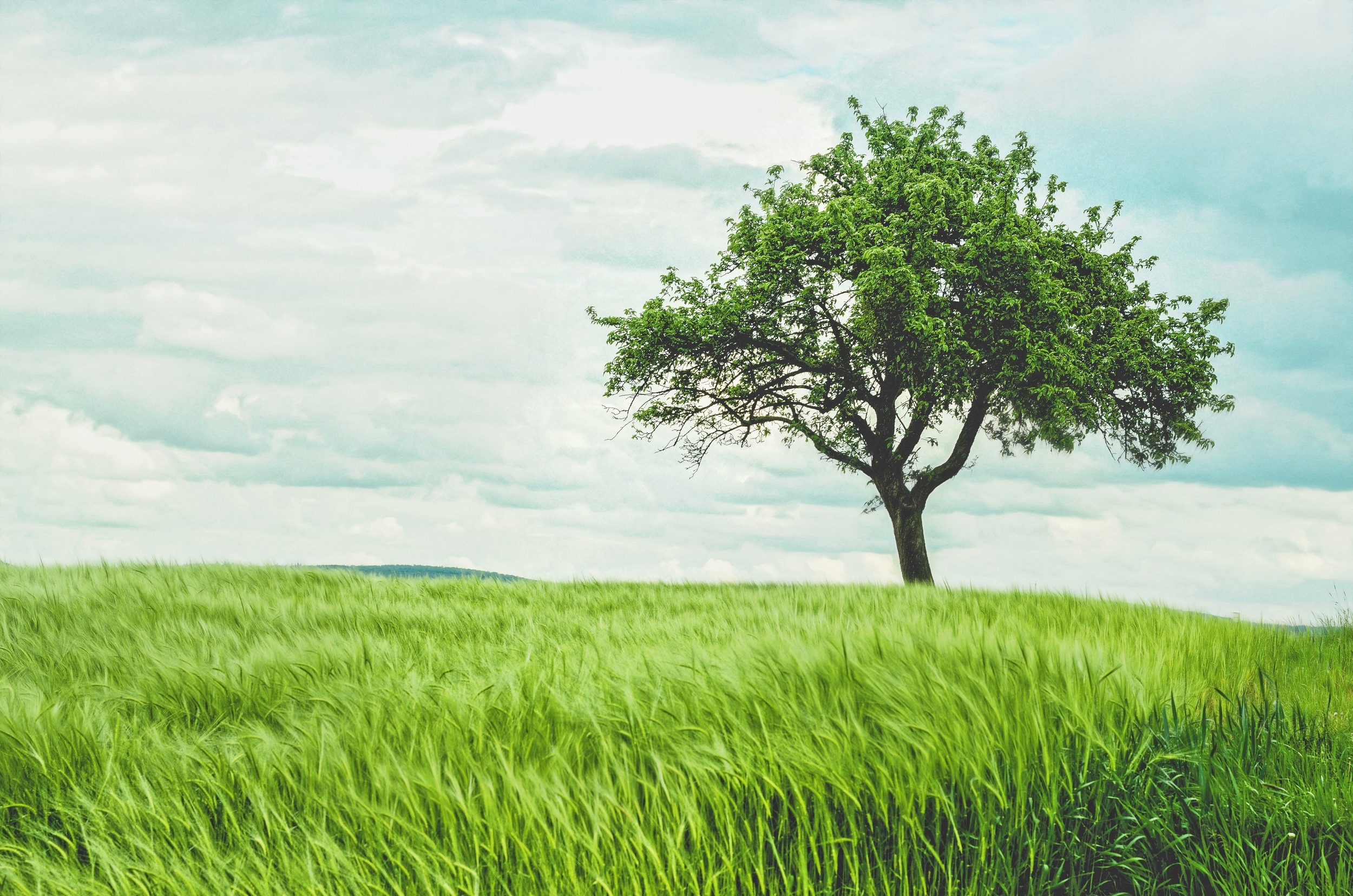 From Crossing Over to Connection - an book on connecting with the spirit world. A list of the most commonly asked questions from those who are grieving, this eBook answers 50+ of the most common questions regarding life after death.