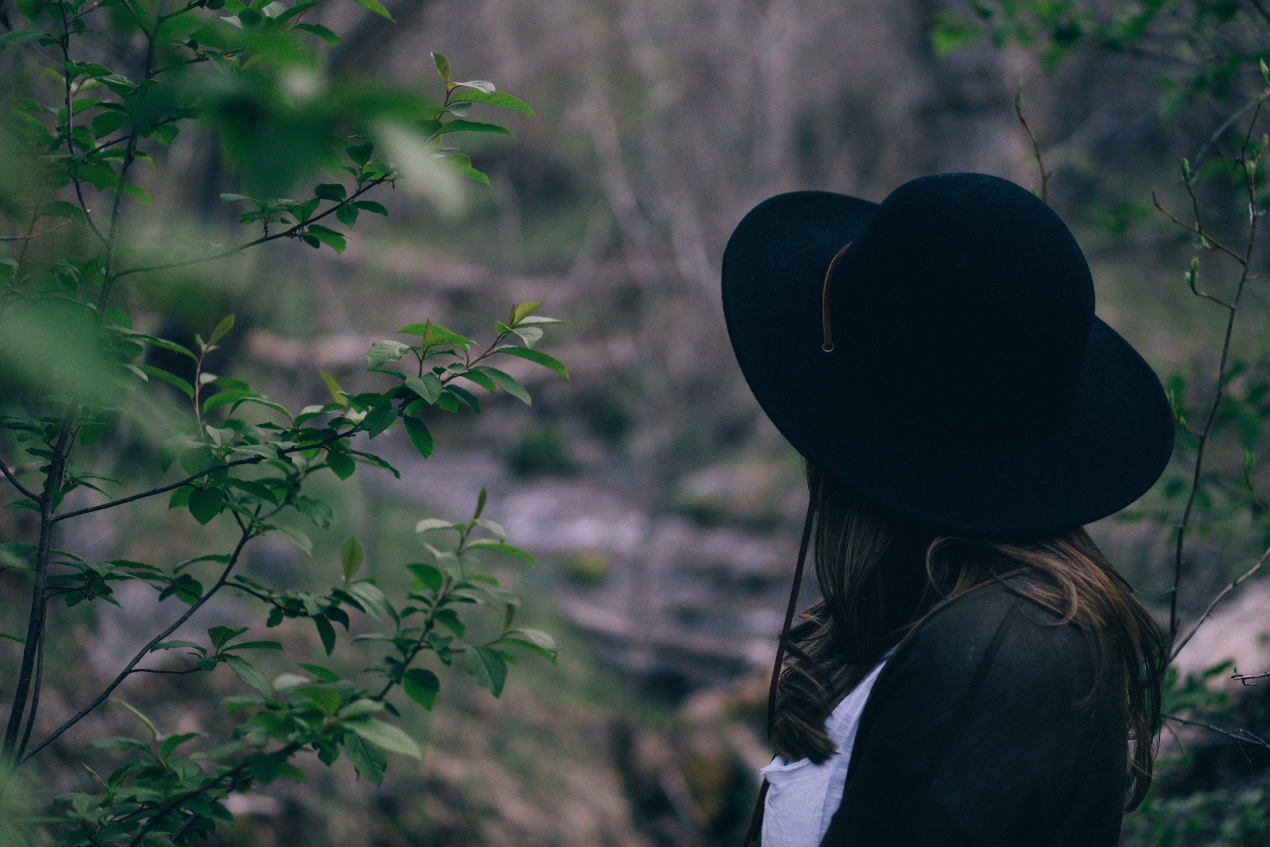 Article: Why Psychic Mediums Are So Reclusive: The Secretive Nature Of The Psychic Medium Community