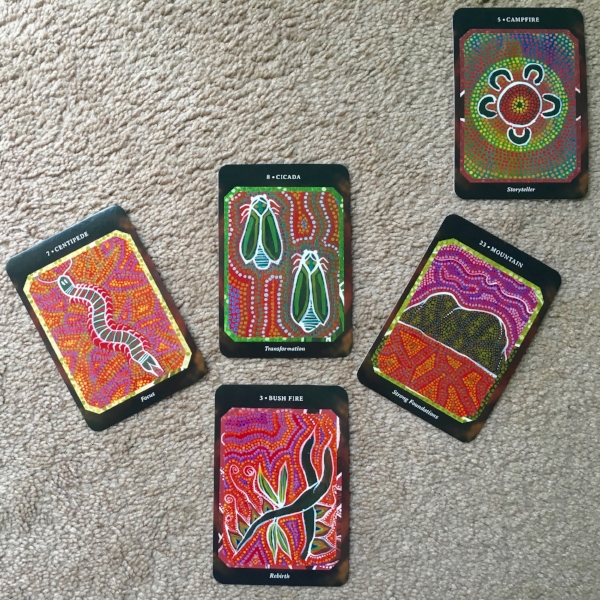 Cactus Spread Reading for Abundance, technique by Amanda Linette Meder