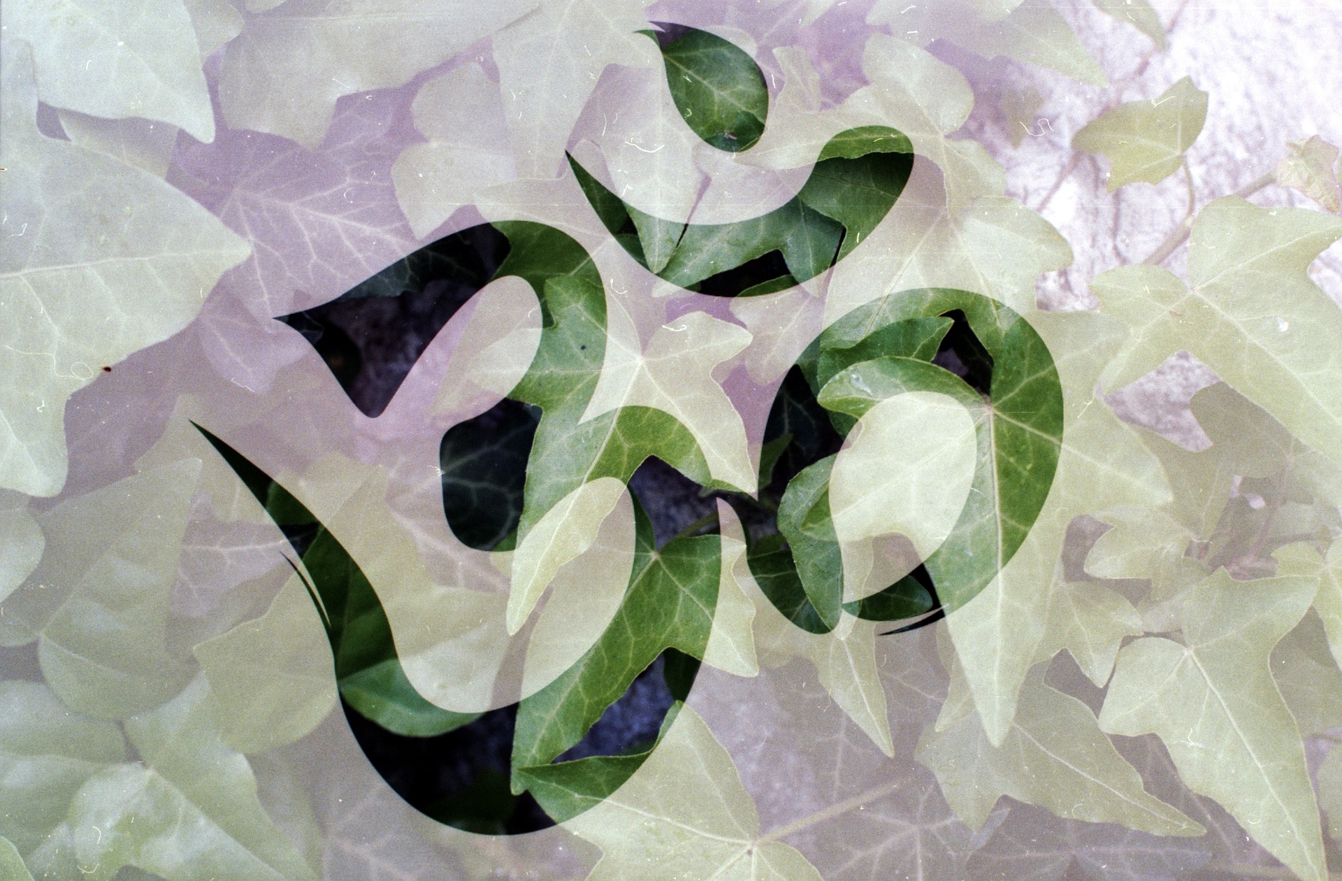 Images: Pixabay.com