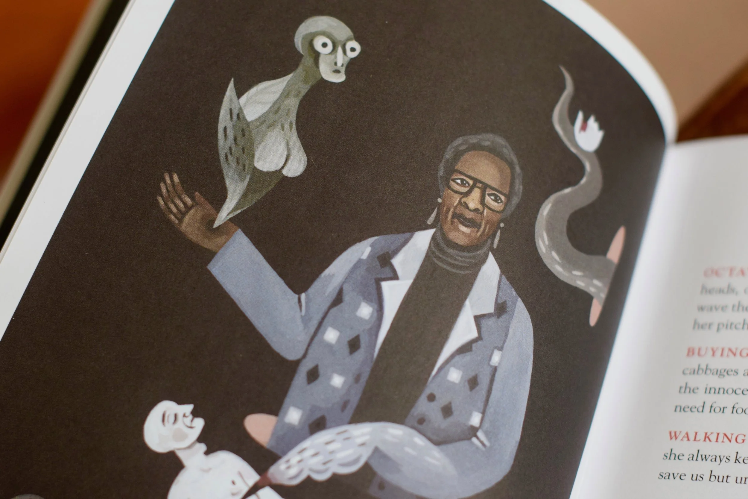 Illustration, Photo Amanda Linette Meder