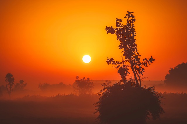 sunrise-1955121_640.jpg