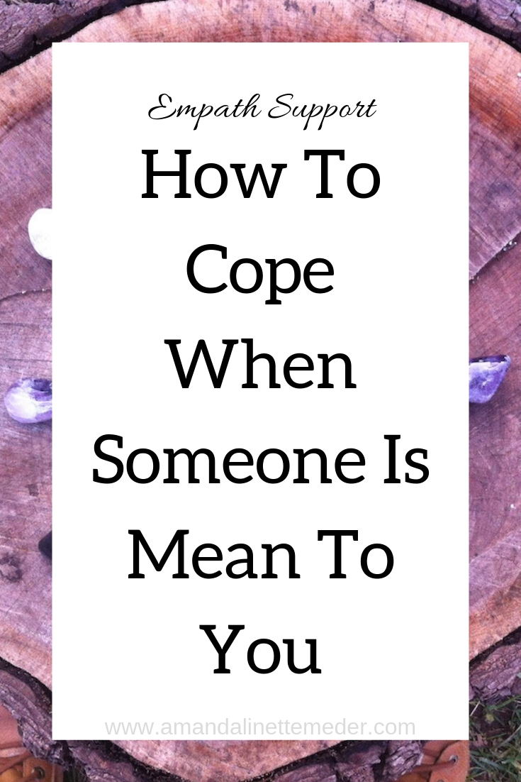Article: How To Cope When Someone Is Mean To You Amanda Linette Meder