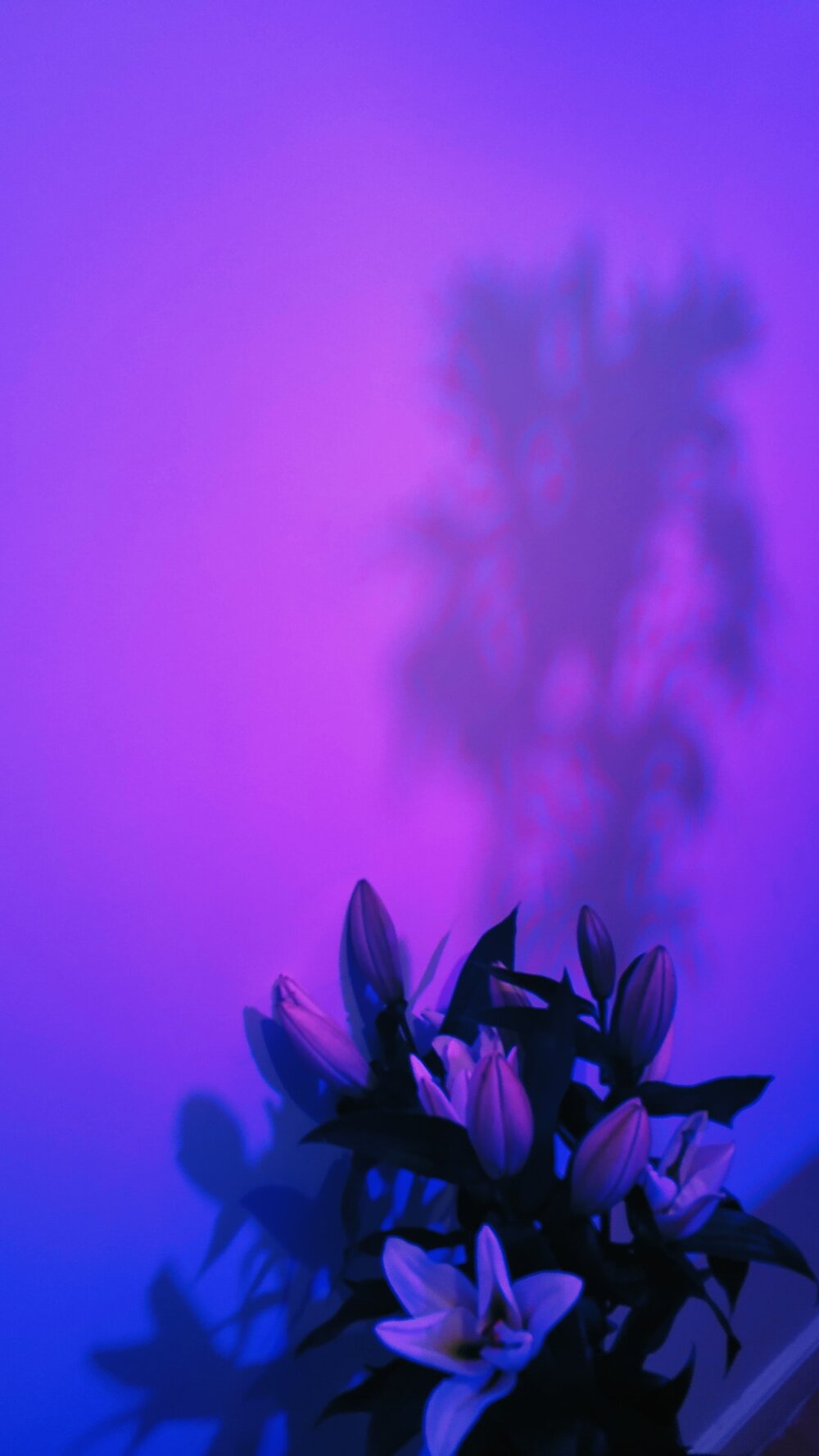 Vertical photo of lillies in indigo light by Inga Seliverstova from Pexels