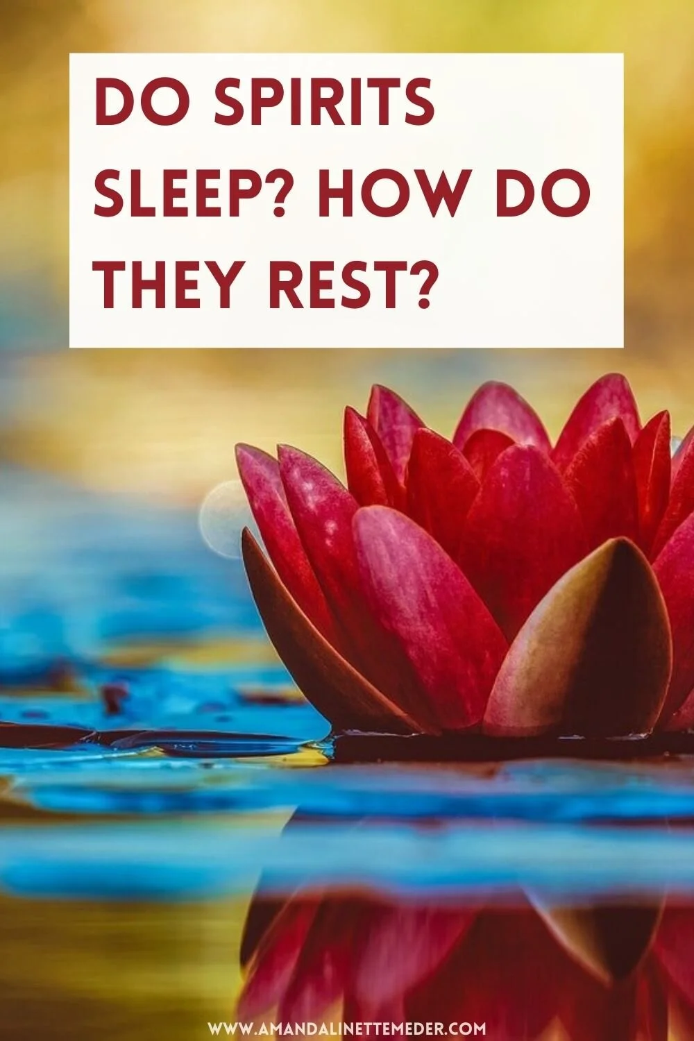 Do Spirits Sleep? How Do They Rest? text over photo of floating pink lotus by Couleur from Pexels