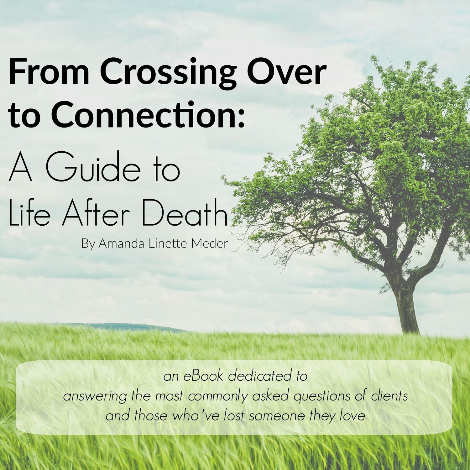 From Crossing Over to Connection eBook cover