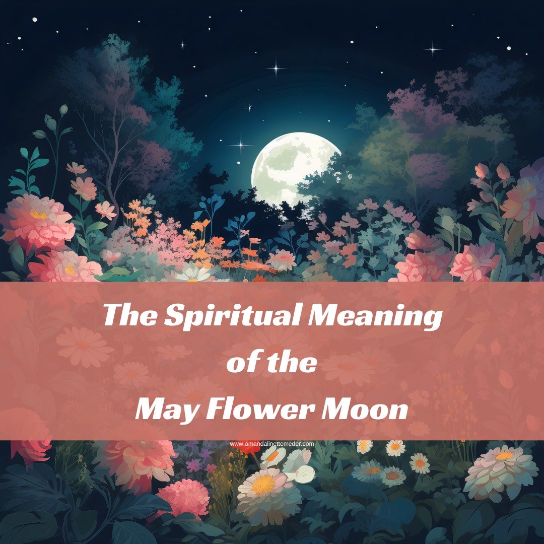 🌕🌸✨ The May 2024 Flower Moon will be on May 23rd at 9:53 am ET in Sagittarius. 
It's time to become your highest self, access new levels of abundance and prosperity, explore emerging horizons &amp; set your vibration into a more positive, sunshine-