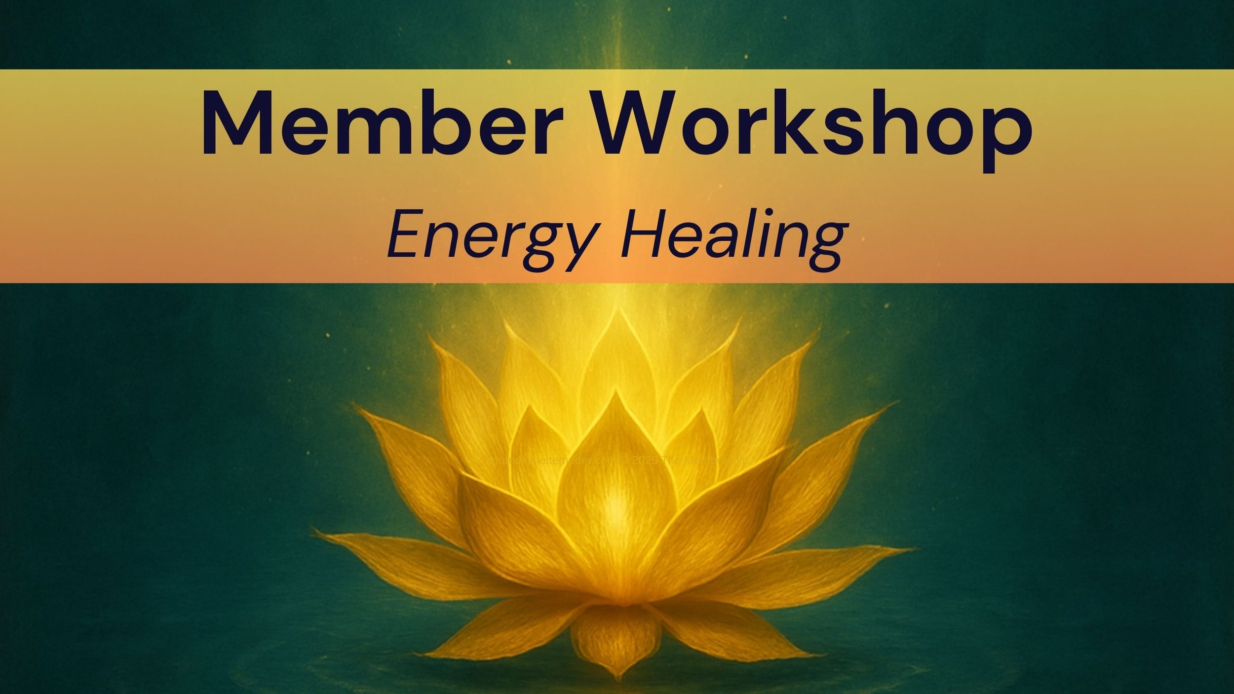 Member Workshop
