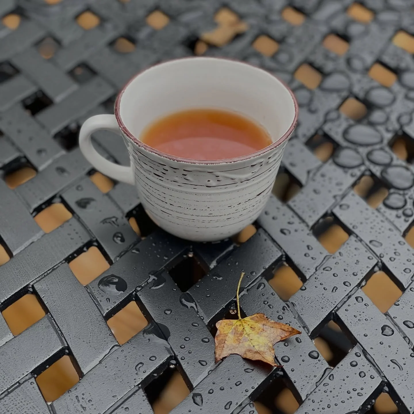 Autumn 🍂 tea ☕️ #fall #fallishere #fallvibes🍁
