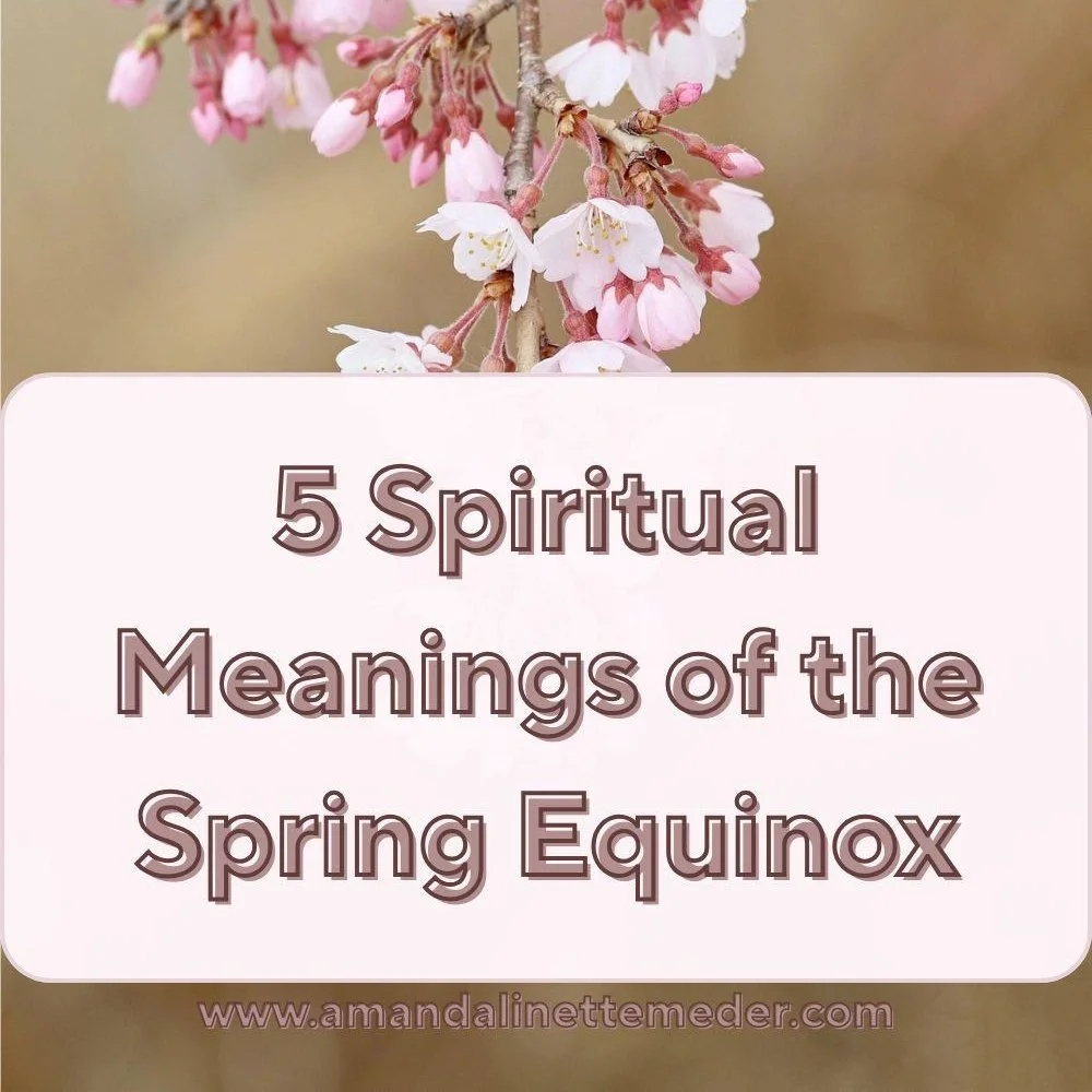 🌸✨ Spring is almost here! In my newest blog, we explore symbolism of the Spring Equinox. Tap into the power of spring&rsquo;s fresh new energy and discover what this seasonal event means spiritually 🌷 Link in bio! 🔗

#springhassprung #springvibes 