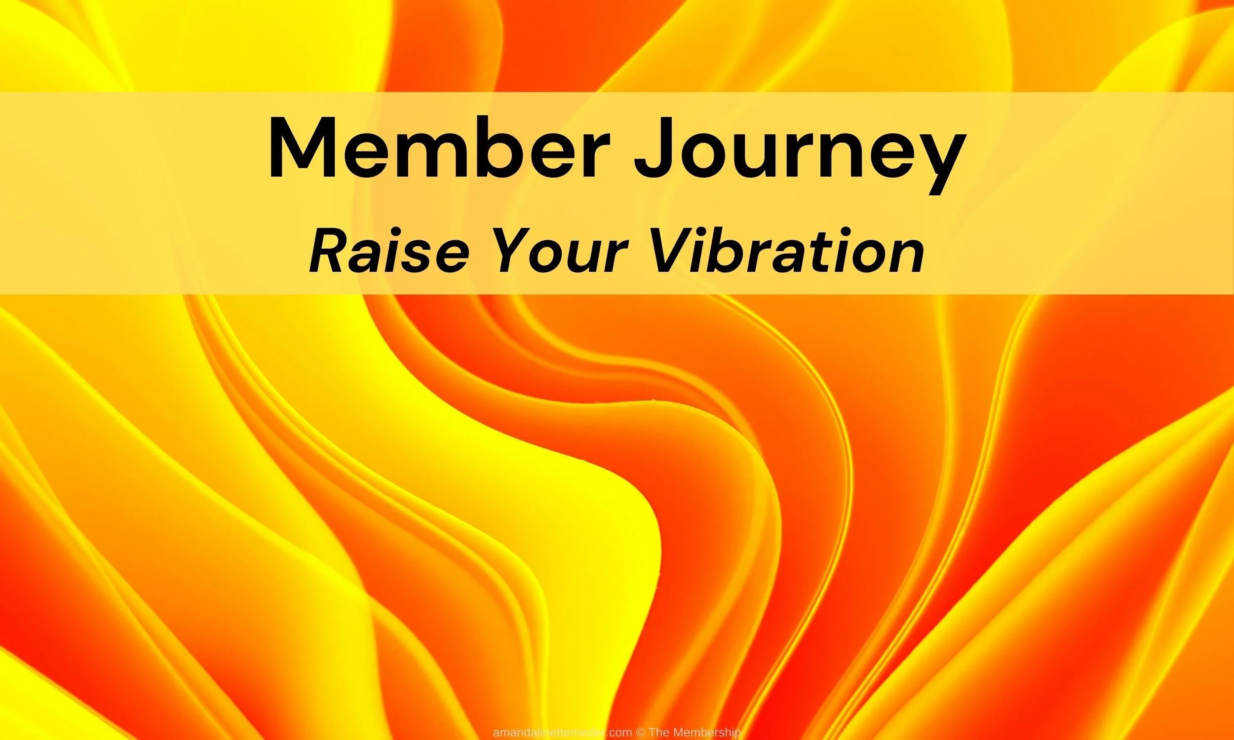Raise Your Vibration Class