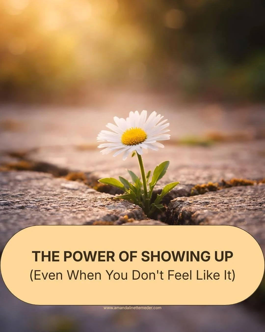 ✨ What if waiting until you "feel good" is the very thing keeping you stuck? The spiritual world often tells us to wait until we're aligned before taking action.

But what if alignment isn't always a feeling...what if it's a choice?

Some d