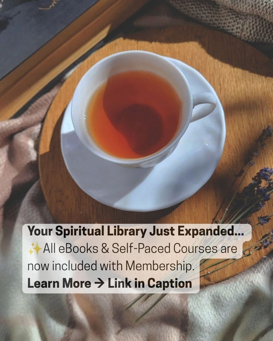 Sometimes the right guidance arrives exactly when we need it. 💛

Over the years I've created eBooks, self-paced courses, classes, and spiritual resources to support people as they deepen their intuition, connect with Spirit, and find more peace in e
