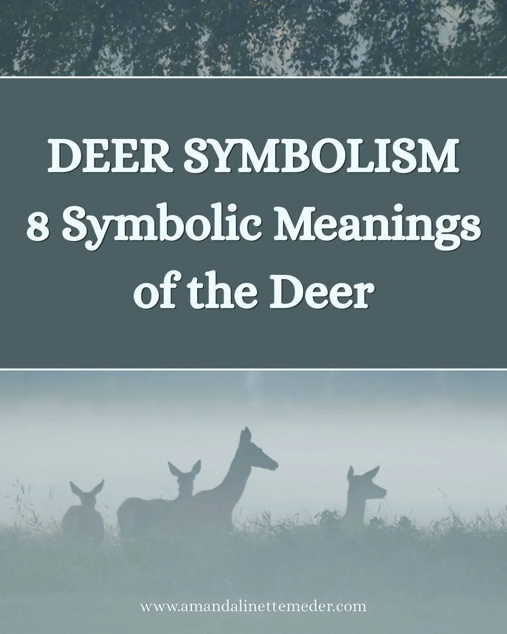 🦌✨ Have you been seeing deer lately... in nature, dreams, or meditation?

It might be more than a coincidence.

In many spiritual traditions, deer are symbols of compassion, intuition, gentle strength, and heart-centered wisdom. But they also carry 