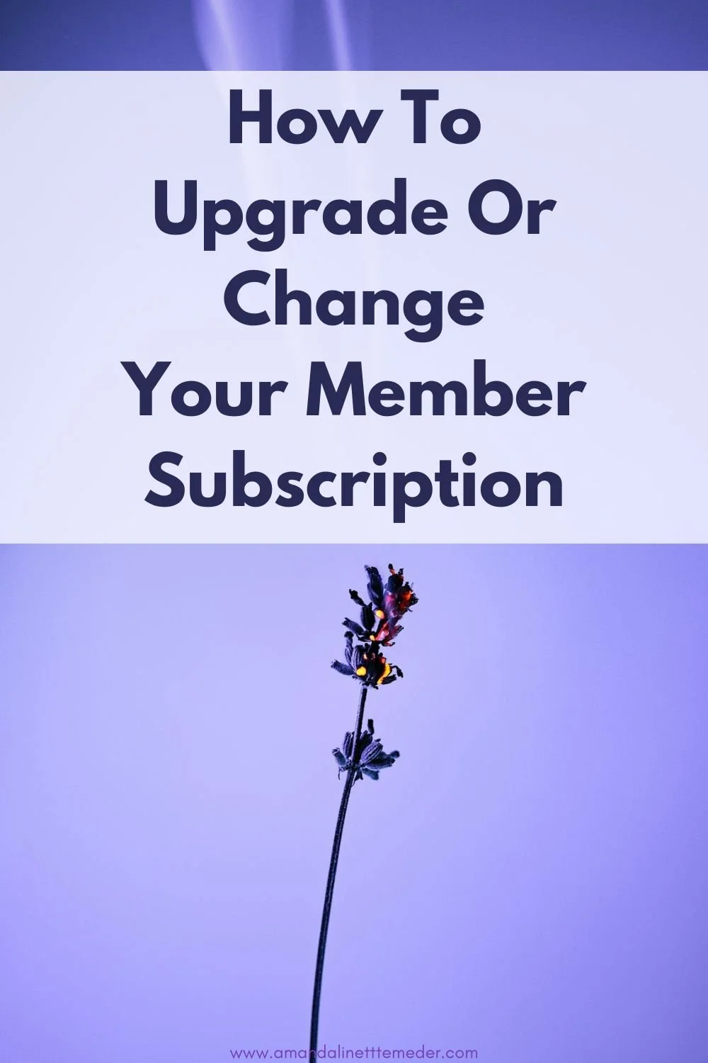 How To Upgrade Or Change Your Member Subscription text overlay Photo of lavender smoke by Marek Piwnicki on Pexels